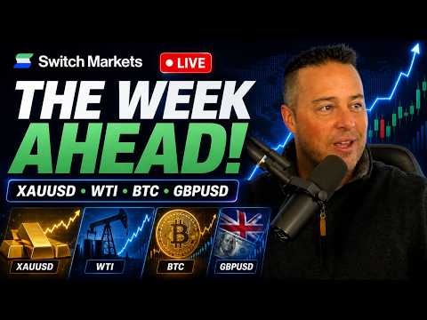 traderoom live stream video placeholder